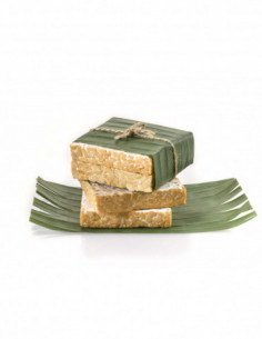 NATURAL TEMPEH for Horeca -...