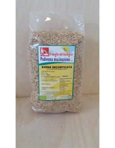 ORGANIC HULLED OAT X GR....